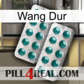 Hard Wang dapoxetine2
